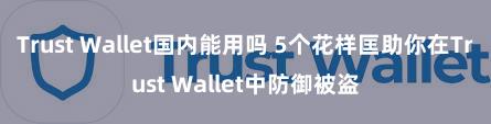 Trust Wallet国内能用吗 5个花样匡助你在Trust Wallet中防御被盗